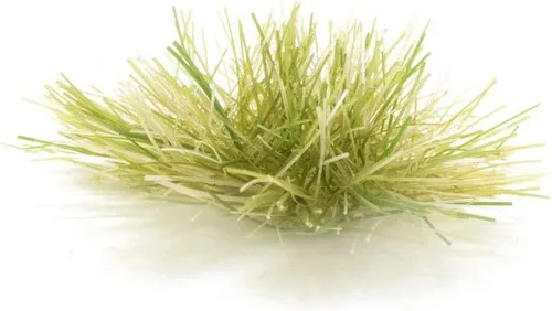 Miniatura 2 de Tufts Light GRN