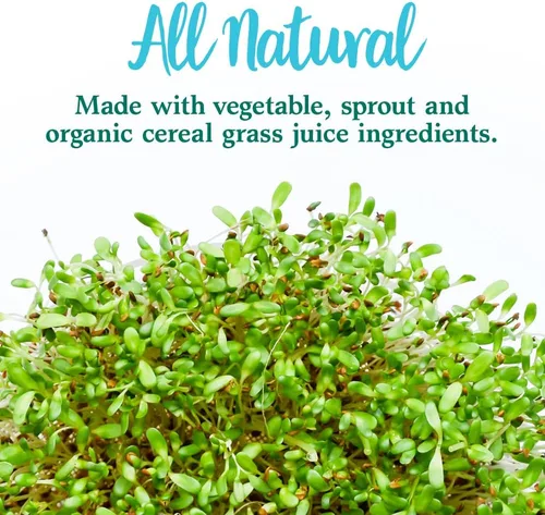 Miniatura 7 de Garden of Life - Complemento vegetal de alimentos enteros – Polvo dietético de alimentos perfectos para alimentos verdes, 4.93 onzas/140 g