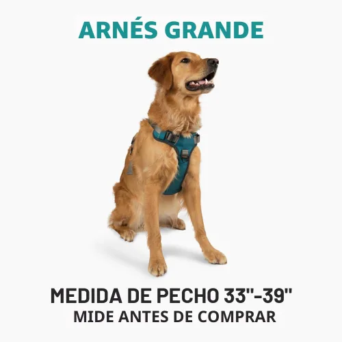 Miniatura 2 de Arnés para perro de aventura Embark, arnés para perro sin tirones con ribete reflectante para perros grandes - Nylon de grado militar, clip frontal