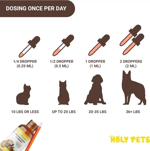 Miniatura 7 de Medicamento para la tos para perros y gatos, apoyo para infecciones respiratorias, alivio de estornudos y tratamiento para la tos de las perreras