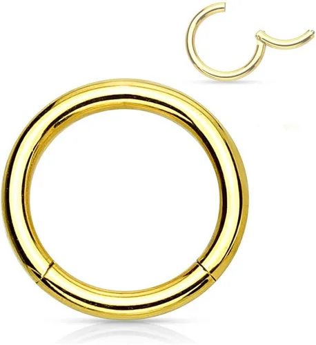 Miniatura 75 de Forbidden Body Jewelry - Piercing para la nariz de acero quirúrgico 316L con bisagra, 14G, 16G, 18G, diámetro de 15/64, 5/16, 25/64, 15/32 pulgadas