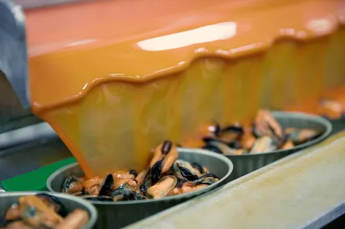 Miniatura 4 de Matiz Mejillones españoles en aceite de oliva virgen extra y vinagre de sidra de manzana 3.92 oz - 1 paquete Hecho a mano en Galicia, España