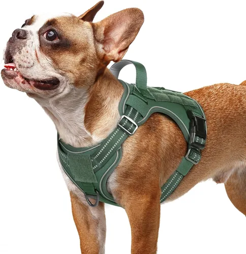 Miniatura 27 de rabbitgoo - Arnés para perros pequeño sin tirones, chaleco táctico de servicio con Molle y asa de control, arnés militar ajustable y reflectante