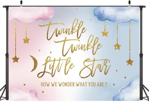 Miniatura 6 de Lofaris Twinkle Twinkle Little Star - Telón de fondo para revelación de género para niño o niña, rosa o azul, con texto en inglés «How We Wonder