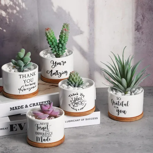 Miniatura 3 de Yaomiao 20 piezas de regalo de la semana de CNA, regalos de agradecimiento a los empleados, regalos de plantas suculentas a granel para mujeres