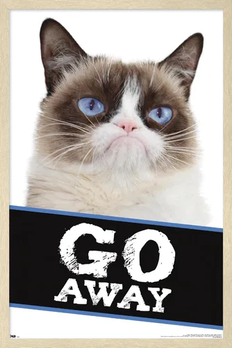Miniatura 6 de Trends International Grumpy Cat - Póster de pared con texto en inglés «Go Away», 14.725 x 22.375 pulgadas, versión enmarcada de madera de granero