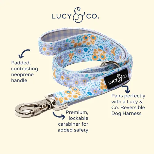 Miniatura 2 de Correa para perros de diseño Lucy & Co. - Accesorios para mascotas - Correa gruesa para perros - Asa acolchada para mayor comodidad - Entre