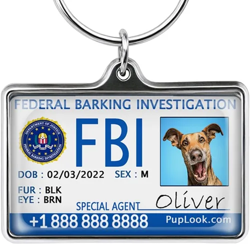 Miniatura 10 de Etiquetas de perro personalizadas para mascotas Personalizadas para mascotas Etiquetas de perro de silicona Etiqueta de perro especial Etiqueta