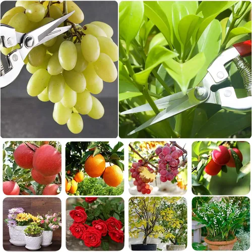 Miniatura 3 de Tijeras de podar con cuchillas de acero inoxidable SK5 + punta recta tijeras de jardinería tijeras de jardín tijeras de jardín tijeras