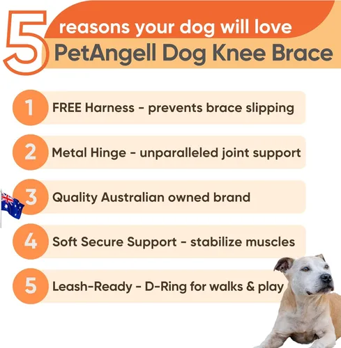 Miniatura 2 de Rodillera para perro con arnés – Soporte premium para lesiones de ligamento cruzado anterior, lesiones en las piernas traseras, rótula luxante