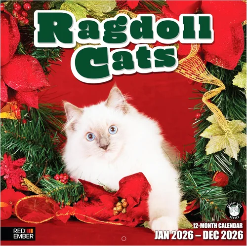 Miniatura 12 de RED EMBER Calendario de pared de gatos 2026 de 12 meses 12 x 24 pulgadas abierto Papel grueso y resistente Regalo de vacaciones Lindo