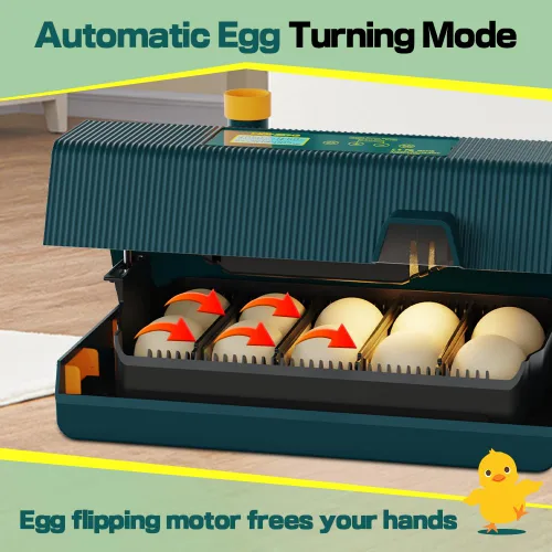 Miniatura 3 de HOWOOIUA - Incubadora automática de 10 huevos para incubar pollos con intervalo de giro de huevos, se puede configurar con pantalla digital e