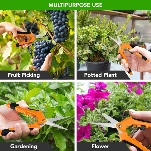 Miniatura 7 de iPower GLPRNR6OR - Tijeras de podar de jardinería de 6.5 pulgadas con cuchillas rectas de acero inoxidable para recortar hierbas, plantas, Naranja