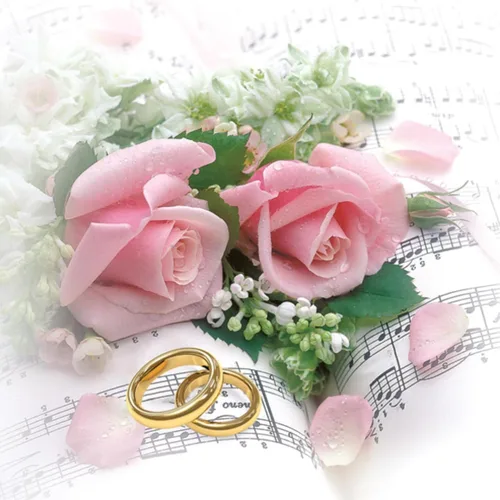 Miniatura 11 de Servilletas de papel de 20 unidades de 13 x 13 pulgadas, 3 capas, estampado de rosas de bebé, para arte, cena y fiesta, servilletas desechables