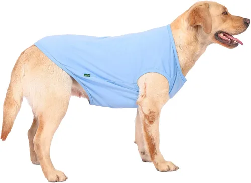 Miniatura 7 de Camisa azul en blanco para perros,Camisetas grandes para perros y niñas,Camiseta lisa de bulldog francés,L azul real Azul y Royal