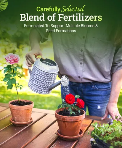 Miniatura 4 de FoxFarm - Alimento para plantas Big Bloom, concentrado de fertilizante líquido para flores, frutas y verduras, fertilizante vegetal multiusos