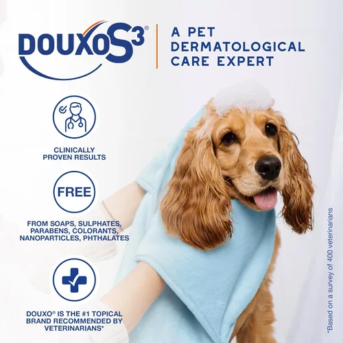 Miniatura 4 de Douxo S3 PYO Champú de clorhexidina para perros, champú medicado antibacteriano y antiséptico, tratamiento de infección por levaduras para perros
