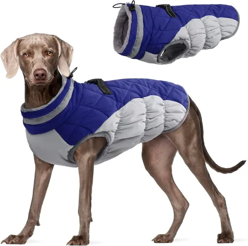 Miniatura 23 de FUAMEY - Chaqueta de invierno para perro, chaleco acolchado con arnés, ropa cálida para mascotas, abrigo con cremallera, impermeable, para perros