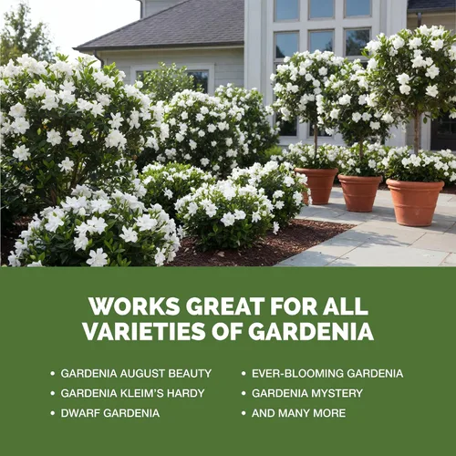 Miniatura 5 de Fertilizante Gardenia: alimento líquido para plantas para más flores, hojas verdes ricas y desarrollo de raíces más fuerte, 8 onzas