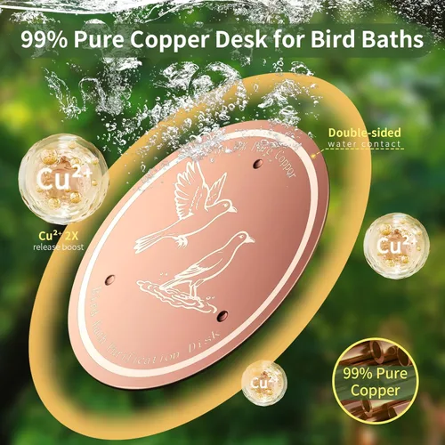 Miniatura 6 de Disco de cobre para baño, 99.99% de cobre puro para pájaros, soporte de triple punto, limpiador de agua para todas las estaciones para baños