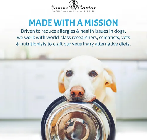 Miniatura 8 de Canine Caviar - Wild Ocean: Alimento seco alcalino para perros con arenque y teff, ingredientes limitados, sin gluten, basado en ciencia e