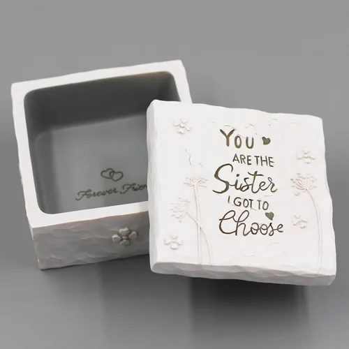 Miniatura 3 de BORLESTA Regalos para amigas – Regalos para amigas para mujeres, regalos de Navidad para amigos – You're the Sister I Got to Choose – Regalos