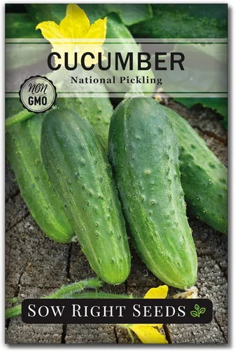 Sow Right Seeds - Semillas de pepino de encurtido nacionales para sembrar - Paquete de reliquia sin OMG con instrucciones para plantar y cultivar un