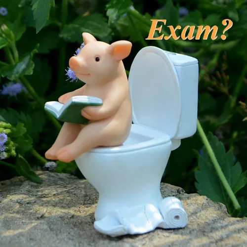Miniatura 4 de Figura de cerdo miniatura de jardín de hadas, paz y alegría