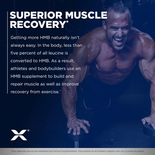 Miniatura 5 de ALLMAX HMB 3000 (120 cápsulas vegetales) – Apoya la fuerza muscular y reduce la descomposición muscular – Sin OMG, sin gluten – 30 porciones