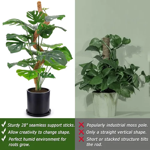Miniatura 5 de Paquete de 2 postes de musgo, poste de musgo flexible de 28 pulgadas para plantas Monstera, postes de musgo para plantas trepadoras de interior, 2 x
