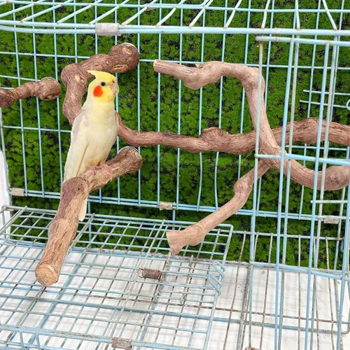 Miniatura 8 de 5 piezas de palo de uva natural Perca Swing Juguetes para masticar jaulas de loros, cacatúas, periquitos, pinzones - Palo de pie para pájaros 1