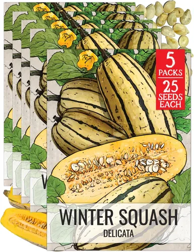 Miniatura 17 de Seed Needs Semillas de calabacín para plantar calabaza de verano Black Beauty, sin OMG, reliquia y sin tratar, rendimientos prolíficos de deliciosos