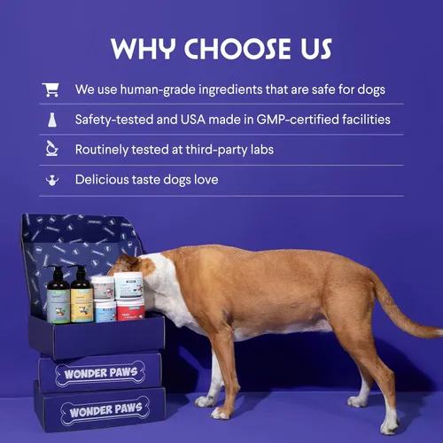 Miniatura 7 de WONDER PAWS Glucosamina líquida prémium para perros, apoyo articular fuerte, flexibilidad, cartílago y movilidad, suplemento de cadera