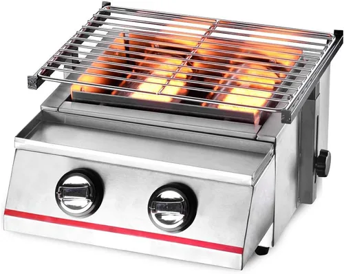 Parrilla de gas de 2 quemadores, 2800 PA al aire libre barbacoa cocina de mesa comercial inoxidable, herramientas de barbacoa para fiestas al aire