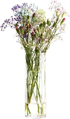 KROSNO Florero cilíndrico | 11,8 x 3,9 pulgadas | Perfecto para el hogar y restaurantes | Apto para lavavajillas | Vidrio cristalino | Sin plomo,