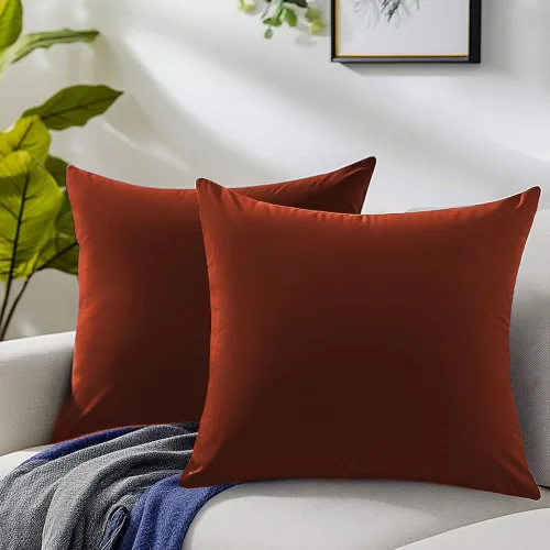 Miniatura 14 de QUORGVES Juego de 2 fundas de almohada de terciopelo verde de 20 x 20 pulgadas, fundas de almohada cuadradas decorativas suaves y sólidas, fundas