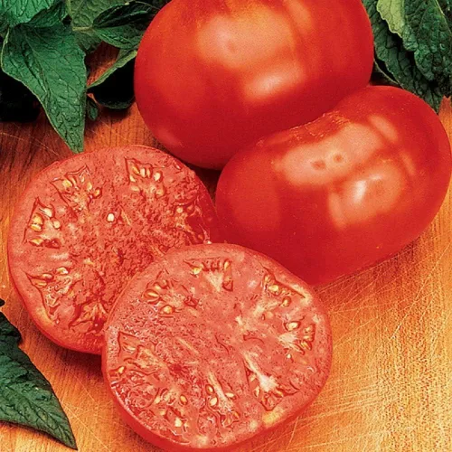 Semillas de tomate Ponderosa Roja de 100 Conte,marca "COOL BEANS N SPROUTS". Heirloom. No-OMG. Jardinería en casa.