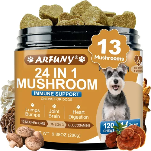 Hongos para perros – Seta de cola de pavo para perros – intestino, piel, articulaciones, salud inmunológica – Bultos y protuberancias de perro – 13