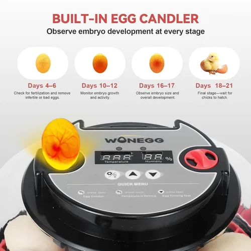 Miniatura 4 de Gen II - Incubadora automática de 12 huevos, humedad de dos etapas con recarga automática y control de temperatura estable, giro automático
