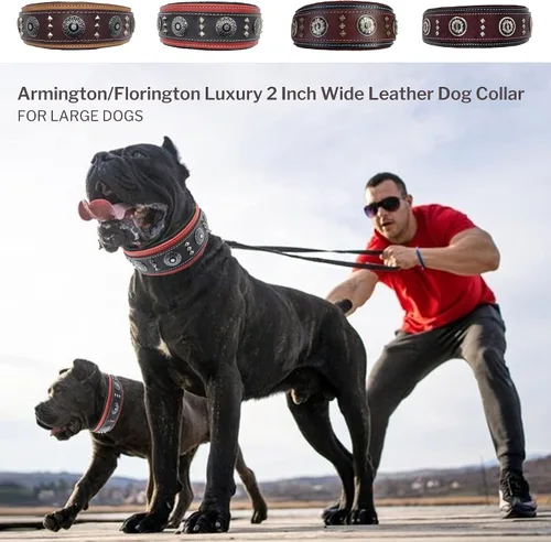 Miniatura 7 de BlazingPaws® Florington - Collar de perro del oeste de cuero negro grueso de lujo de 2 pulgadas de ancho para perros grandes, collar acolchado