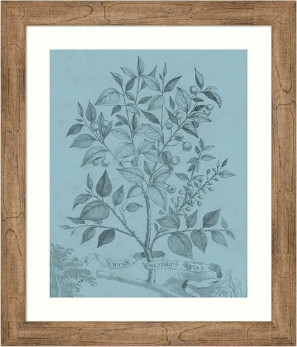 Miniatura 16 de Amanti Art Vision Studio - Póster enmarcado de 24 x 20 pulgadas, diseño botánico en V verde azulado por Vision Studio, arte de pared de naturaleza