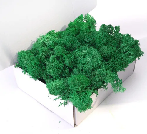 Miniatura 19 de Musgo preservado, musgo de 3.5 onzas para manualidades, decoración de musgo sintético, musgo verde natural para decoración de pared de floristería