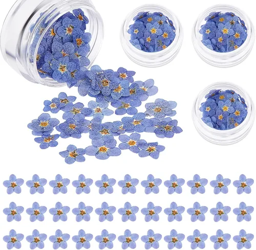 Miniatura 10 de Nuanchu Flores secas naturales "Don't Forget Me", flores secas prensadas reales para joyería, fabricación de velas, tarjetas, adornos de resina
