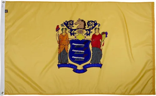 Miniatura 53 de FlagSource Bandera del estado de nailon de Iowa, fabricada en los Estados Unidos, 4 x 6 pies Iowa 4x6