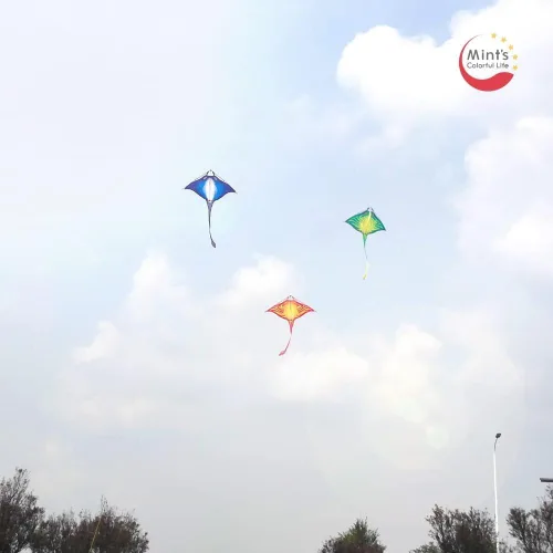 Miniatura 6 de Mint's Colorful Life Cometa de pez diablo para niños y adultos, fácil de volar, cometa Delta de una línea grande, mango de cometa incluido