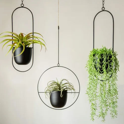 Miniatura 4 de RISEON Colgador bohemio de metal negro para plantas, maceta colgante de pared y techo de metal, maceta moderna, soporte para macetas de mediados