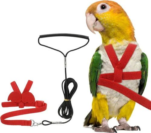 Miniatura 9 de Correa de arnés para pájaros, arnés ajustable para pájaros y loros para mascotas, ligera, antimordeduras, cuerda de entrenamiento de vuelo con linda