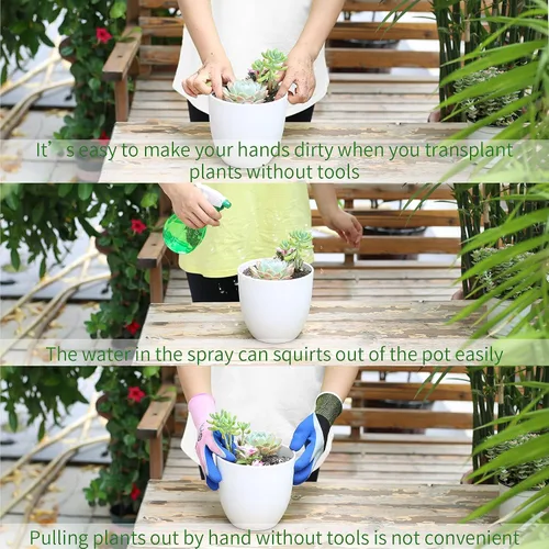 Miniatura 7 de 11 piezas de herramientas para suculentas, mini herramientas de jardín, herramienta de riego de suculentas como accesorios para plantas, kit
