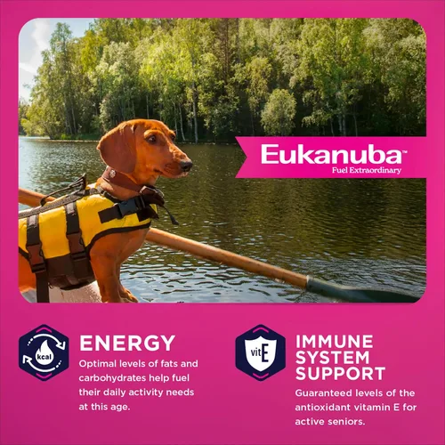 Miniatura 5 de Comida para perros seca EUKANUBA Senior