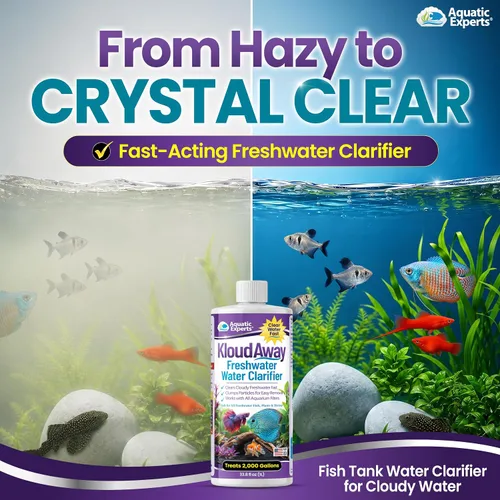 Miniatura 3 de KloudAway Aquarium Water Clarifier – Clears Cloudy Water in Freshwater Fish Tanks, 1 Liter, Made in USA, Aquatic Experts